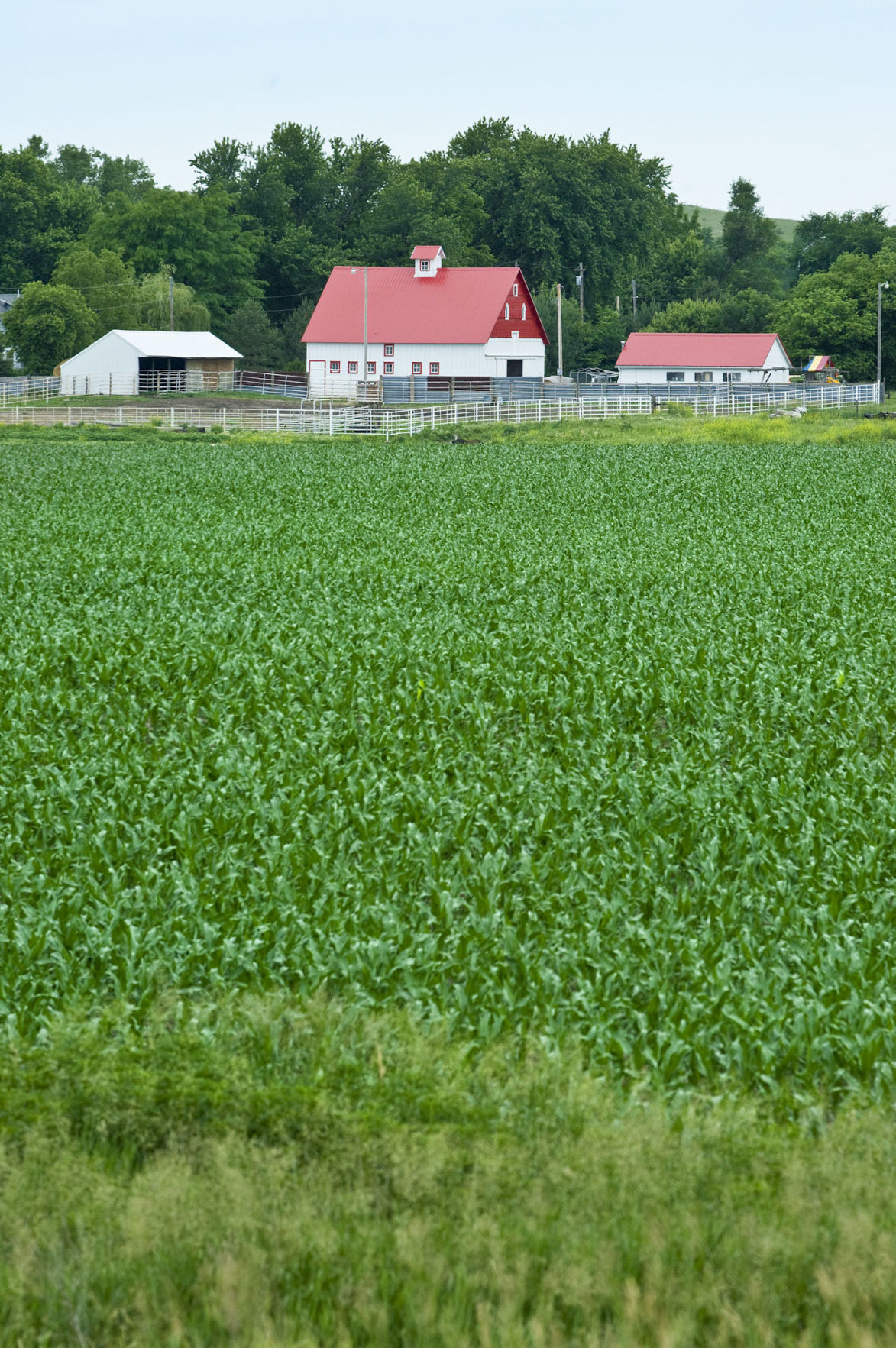 Barn on Highway 14 Neligh